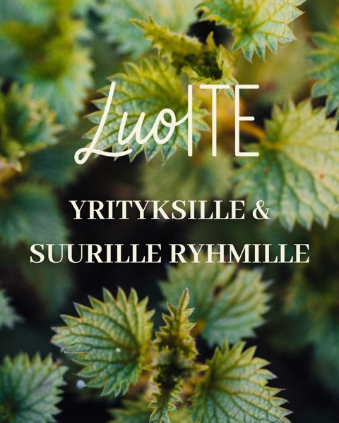 Product image of  Suurille ryhmille & yrityksille