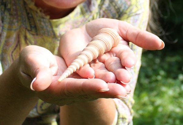 Product image of  Ohjausta