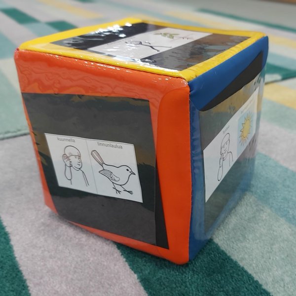 Product image of  Aistinoppa