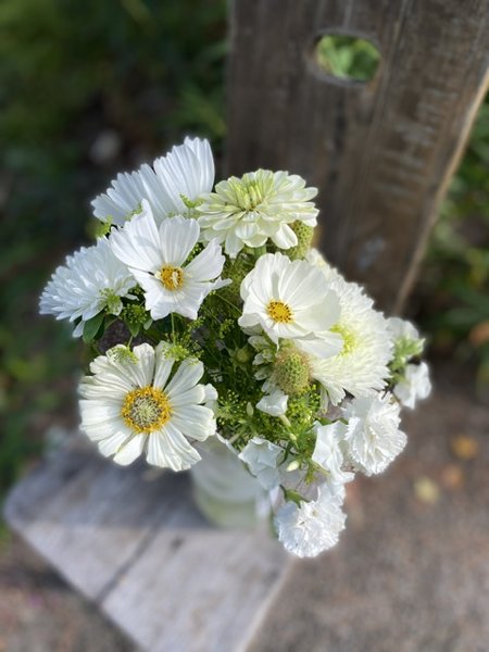 Product image of  Kukkapaja 6.8 Kimppu lähileikkokukista spiraalitekniikalla