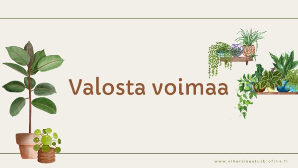 Product image of  Valosta voimaa - webinaaritallenne