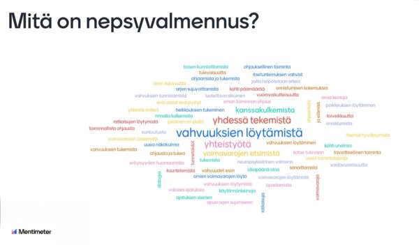 Product image of  Nepsyvalmennuksen puhelinkonsultaatio: ohjaus / neuvonta 30 min.