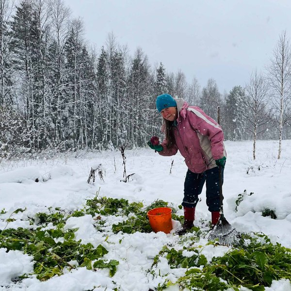 Product image of  Lähiruokapäivien myyntipaikka ilman sähköä