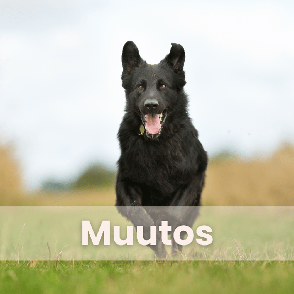 Product image of  Muutos