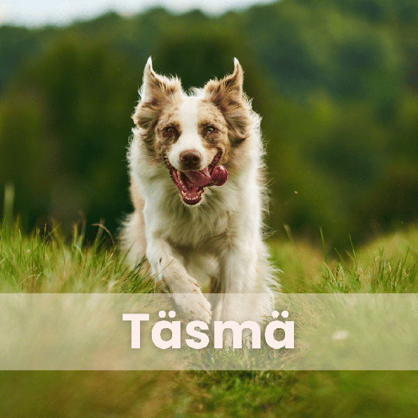 Product image of  Täsmä