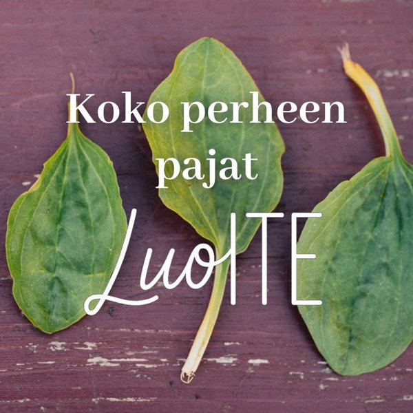 Product image of Koko perheen pajat