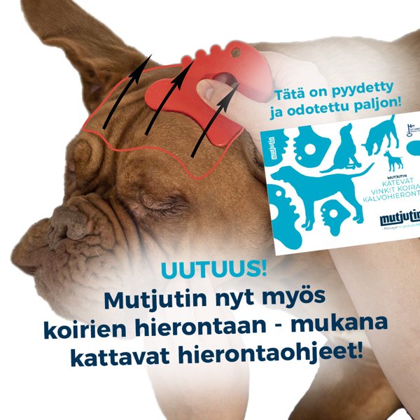 Product image of  Mutjutin ™ KOIRILLE Violetti Biokomposiitti