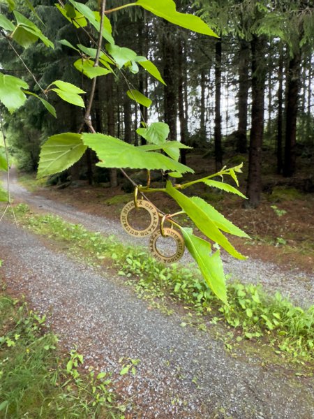 Product image of  Suurin niistä on rakkaus