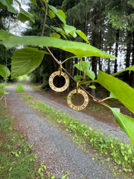 Product image of  Ans mennäv vaa!