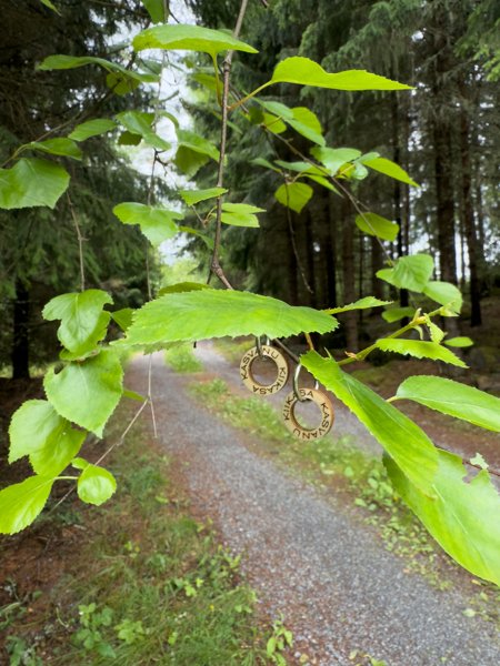Product image of  Kiikasa kasvanu