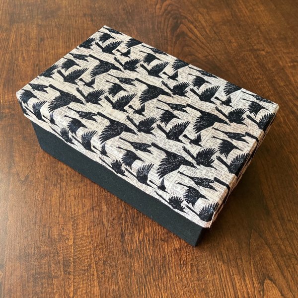 Product image of  Lintu-rasia, Iso