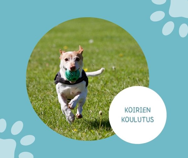 Product image of  Koirien koulutus