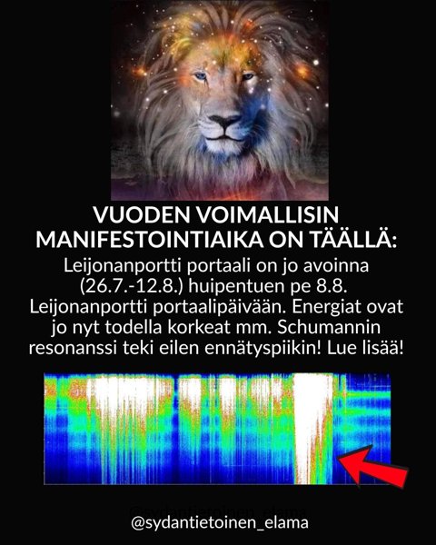 Product image of  To 31.7. Leijonanportti portaalin avautumisen energiahoito