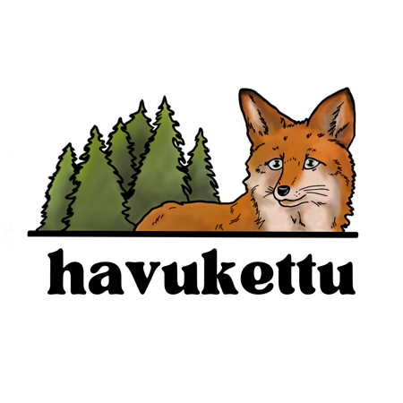 Havukettu