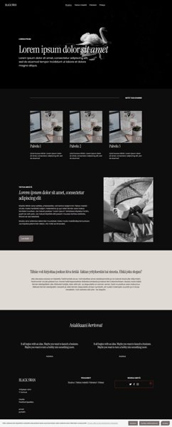 Product image of Squarespace nettisivupohja Black Swan