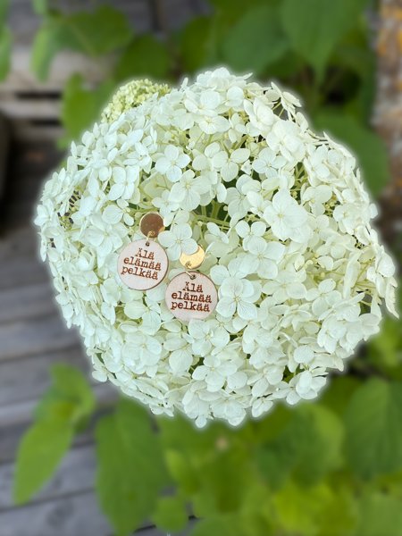 Product image of  Älä elämää pelkää - korvikset