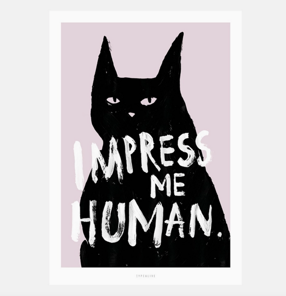 Product image of  Typealive - Impress Me, A4