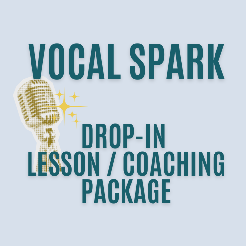 Product image of  Vocal Spark Drop-In Lesson/Coaching Package