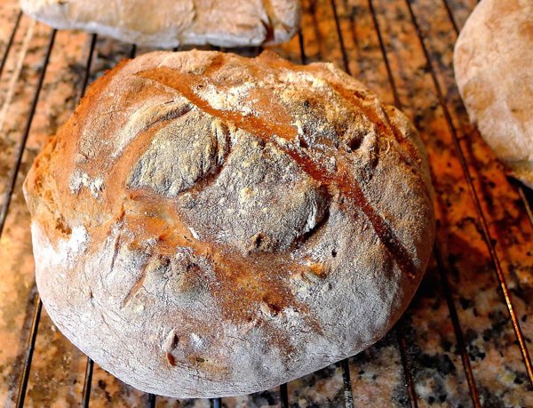 Product image of Vaalea ”Gold Rush” -leipäjuuri, yli 170 vuotta vanha hapanjuuri