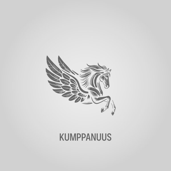 Product image of  Kumppanuus
