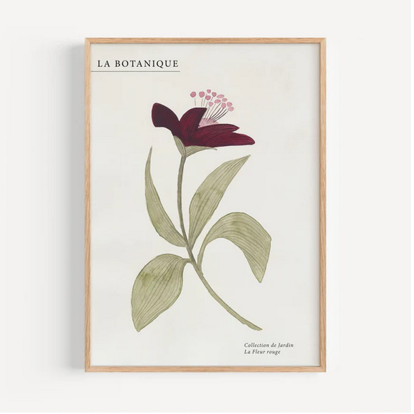 Product image of  Leo La Douce - Red Flower Print, A4