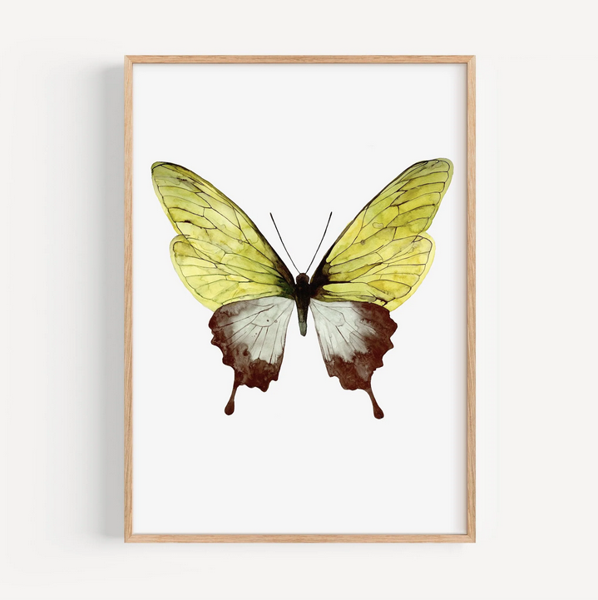 Product image of  Leo La Douce - Green Butterfly Print, A4