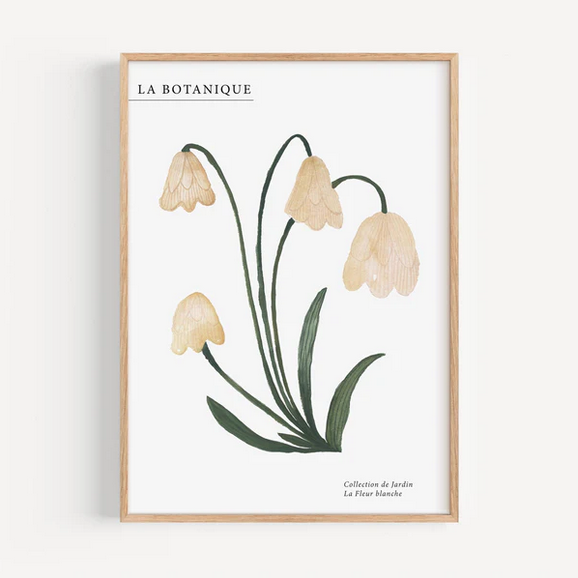 Product image of  Leo La Douce - The White Flower Print, A4