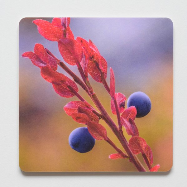 Product image of  Lasinalunen - ruska