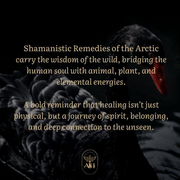 Product image of  SHAMANISTIC REMEDIES OF THE ARCTIC BOOK