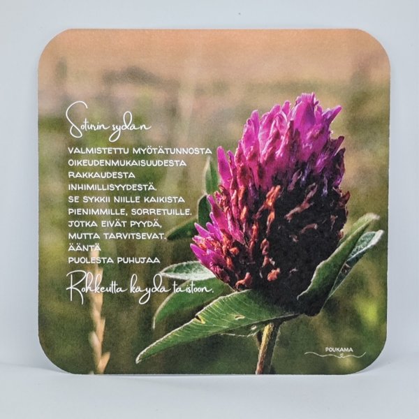 Product image of  Runokortti - Soturin sydän