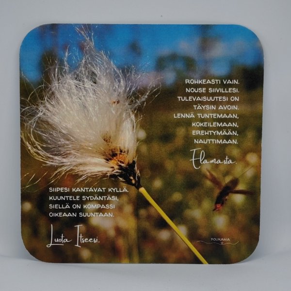 Product image of  Runokortti - Rohkeasti vain (ötökkä)