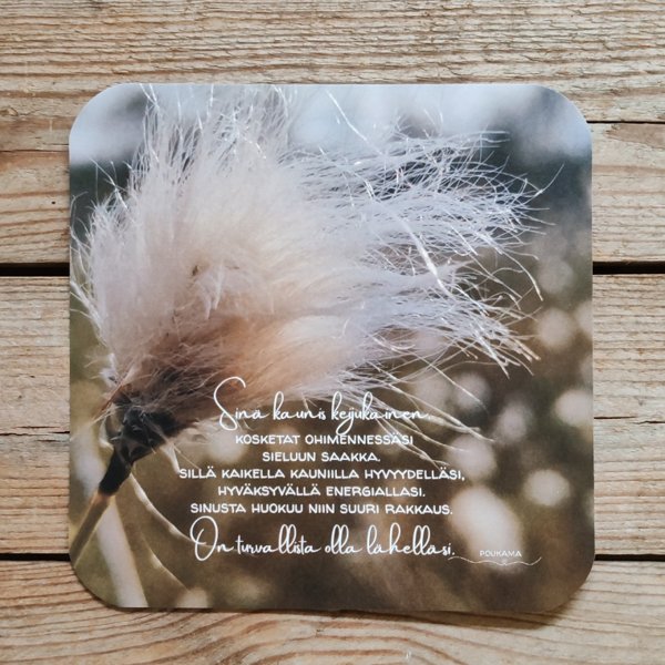 Product image of  Runokortti - Kaunis keijukainen (uusi)