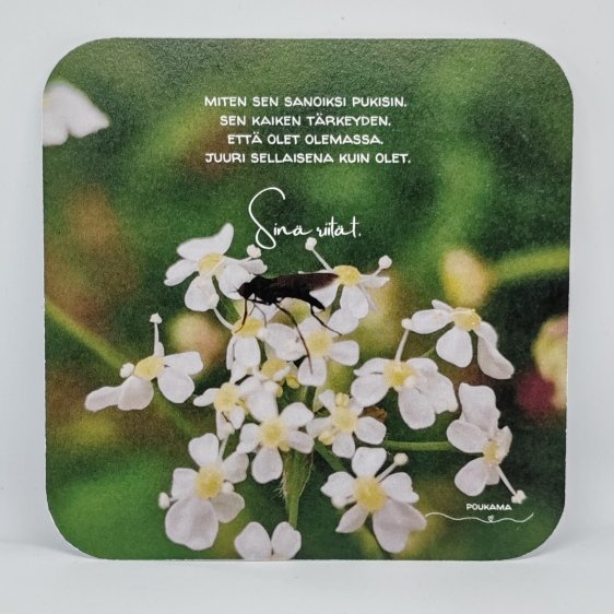 Product image of  Runokortti - Sinä riität