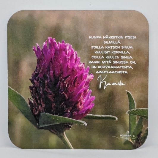 Product image of  Runokortti - Kunpa näkisitkin