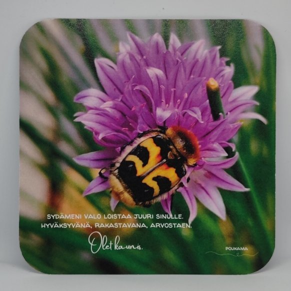 Product image of  Runokortti - Olet kaunis
