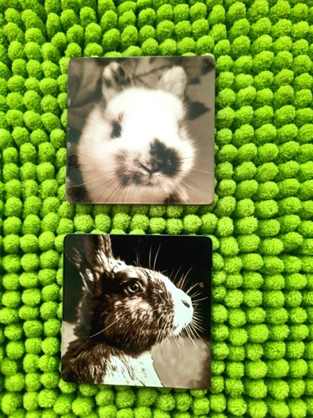 Product image of  Pupu Magneetit 2 kpl