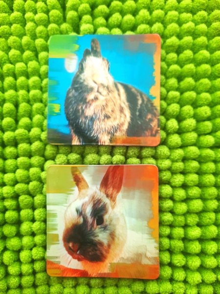 Product image of  Pupu Magneetit 2 kpl