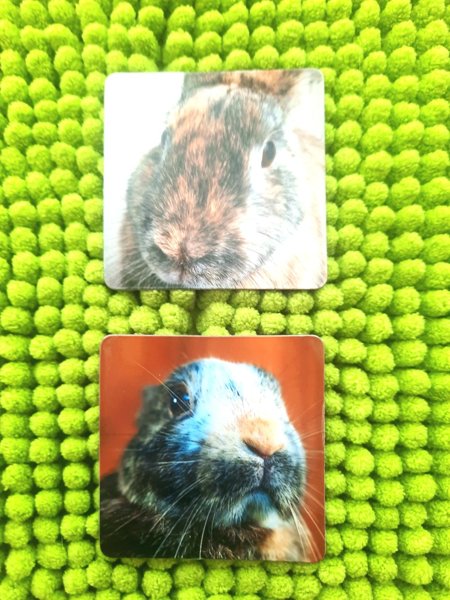 Product image of  Pupu Magneetit 2 kpl