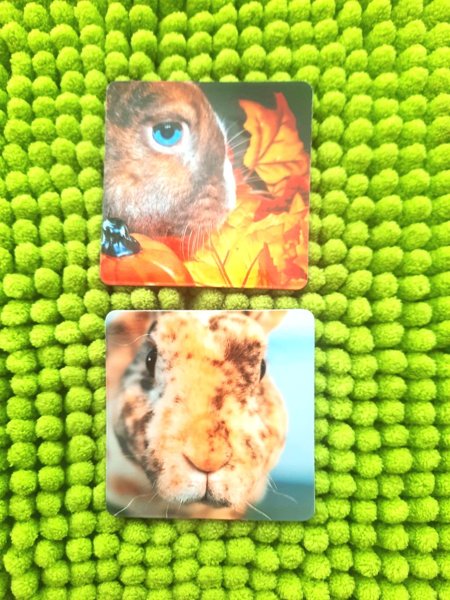 Product image of  Pupu Magneetit 2 kpl