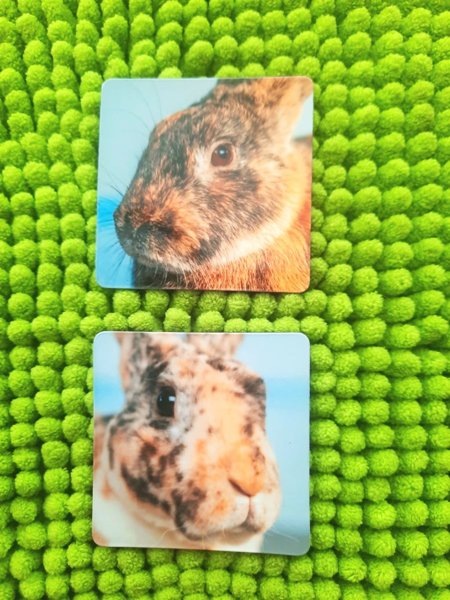 Product image of  Pupu Magneetit 2 kpl