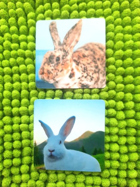 Product image of  Pupu Magneetit 2 kpl
