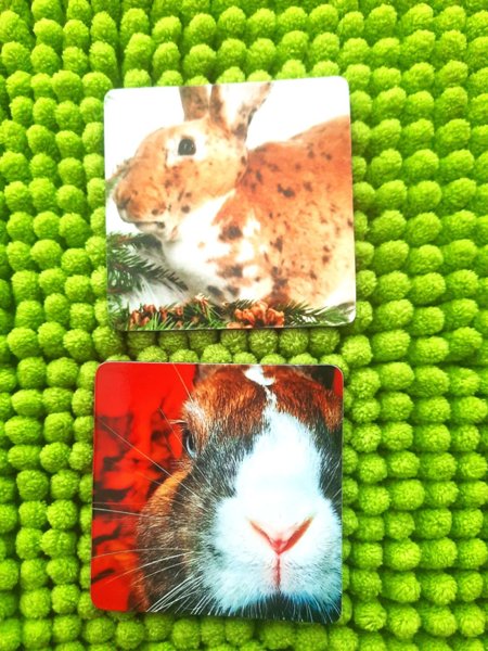 Product image of  Pupu Magneetit 2 kpl