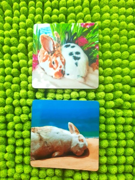 Product image of  Pupu Magneetit 2 kpl