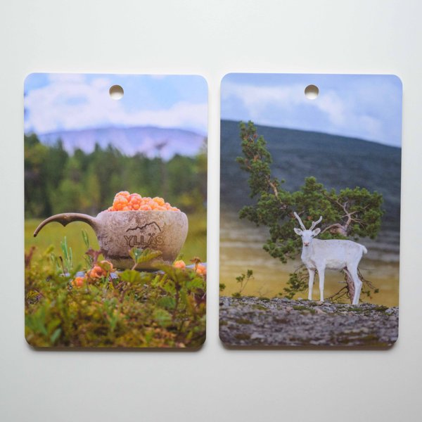 Product image of  Leikkuulauta osta 2 kpl yhteishintaan