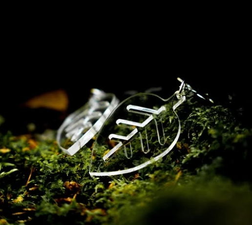Product image of  HIPPU X ACRYLIC earrings