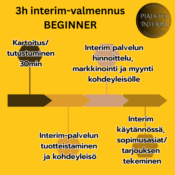 Product image of  Interim-valmennus 3x1h BEGINNER