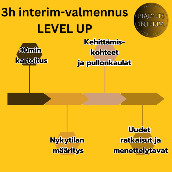 Product image of  Interim-valmennus 3x1h LEVEL UP