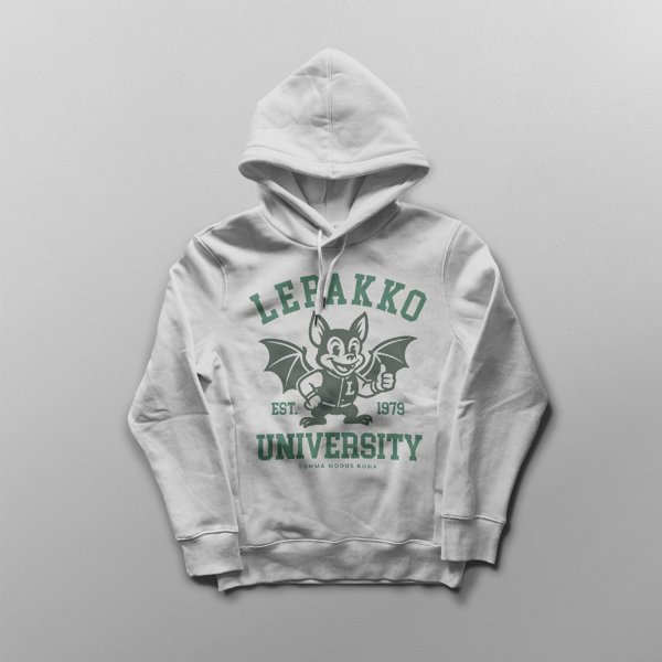 Product image of  Lepakko Huppari harmaa