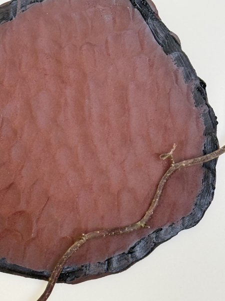 Product image of  CELL