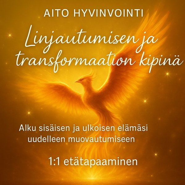 Product image of  Aito Hyvinvointi: Linjautumisen ja transformaation Kipinä